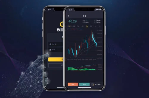 Binary Options 代表案例