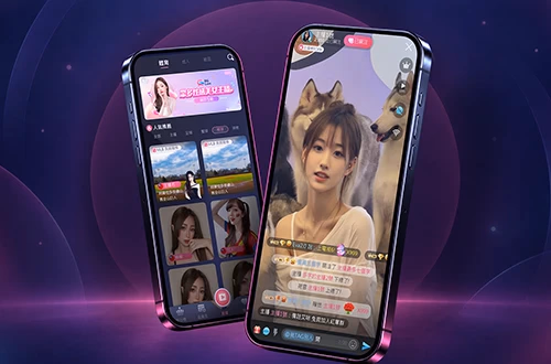 Live Streaming 直播平台體驗設計
